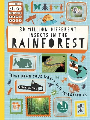 cover image of 30 Million Different Insects in the Rainforest